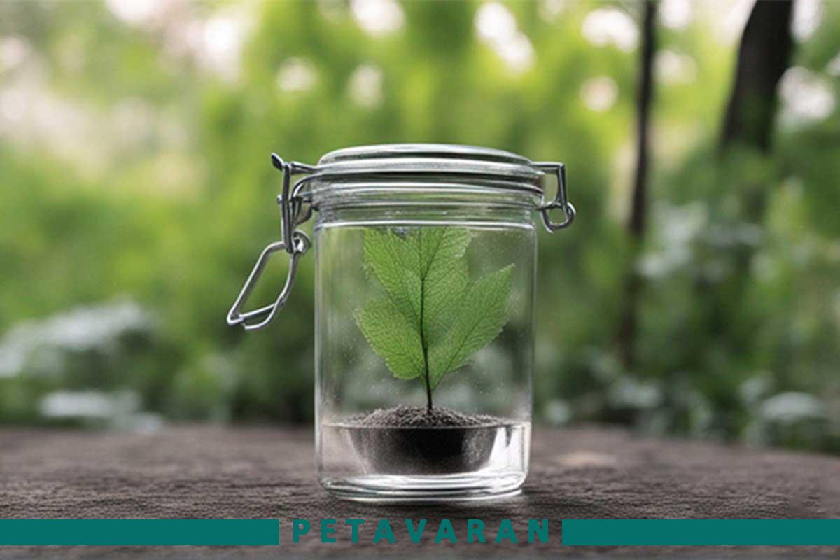 جار شیشه ای