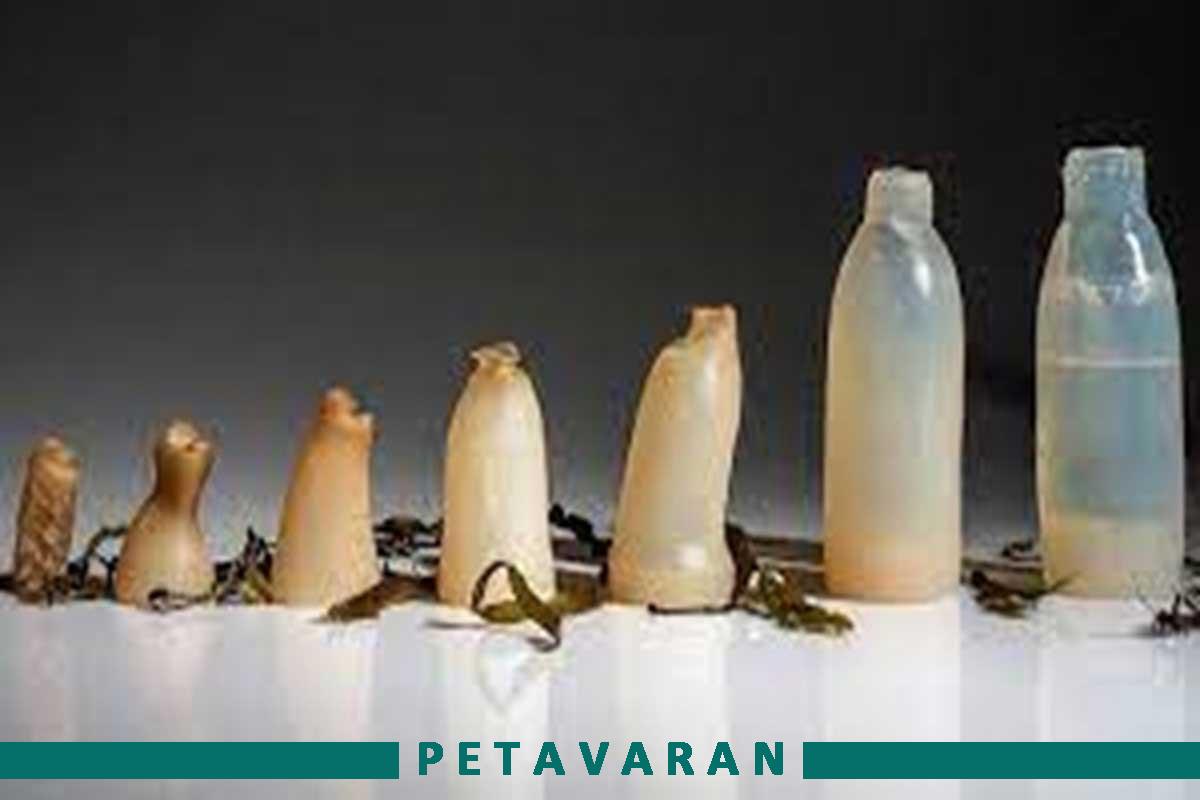 عمر-مفید-بطری