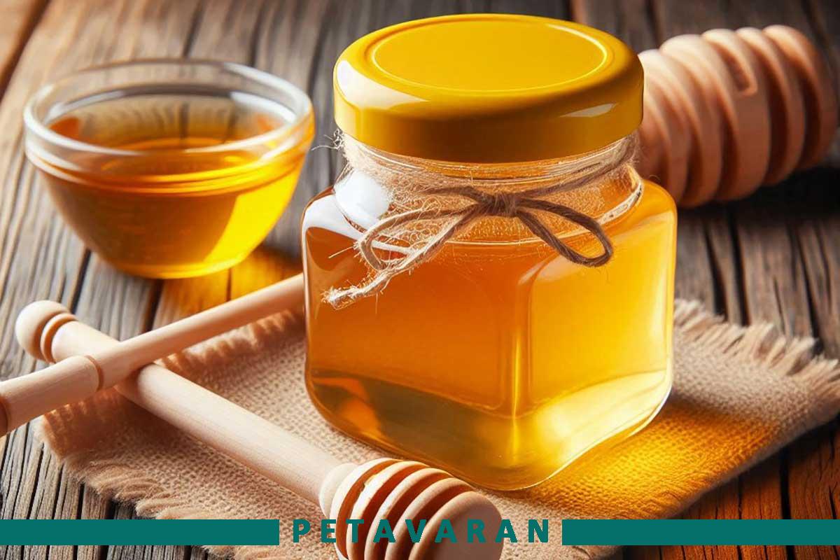 راهنمای انتخاب ظرف عسل مناسب راهنمای انتخاب ظرف عسل مناسب